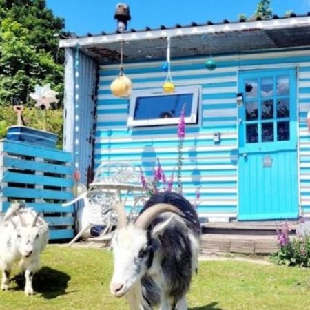 Treguth Glamping Unique Experience - Themed Huts Hotel Saint Day Bagian luar foto