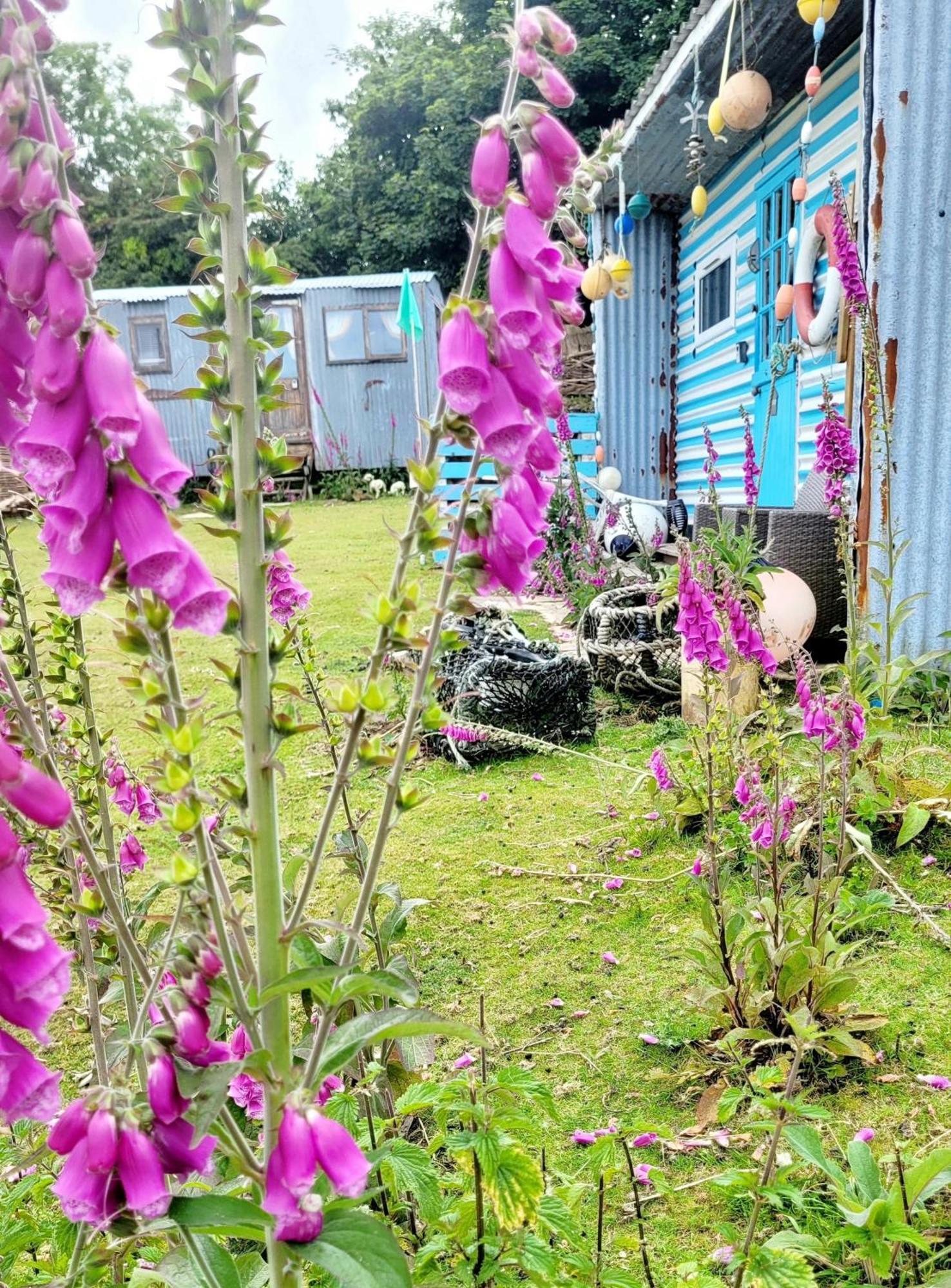 Treguth Glamping Unique Experience - Themed Huts Hotel Saint Day Bagian luar foto