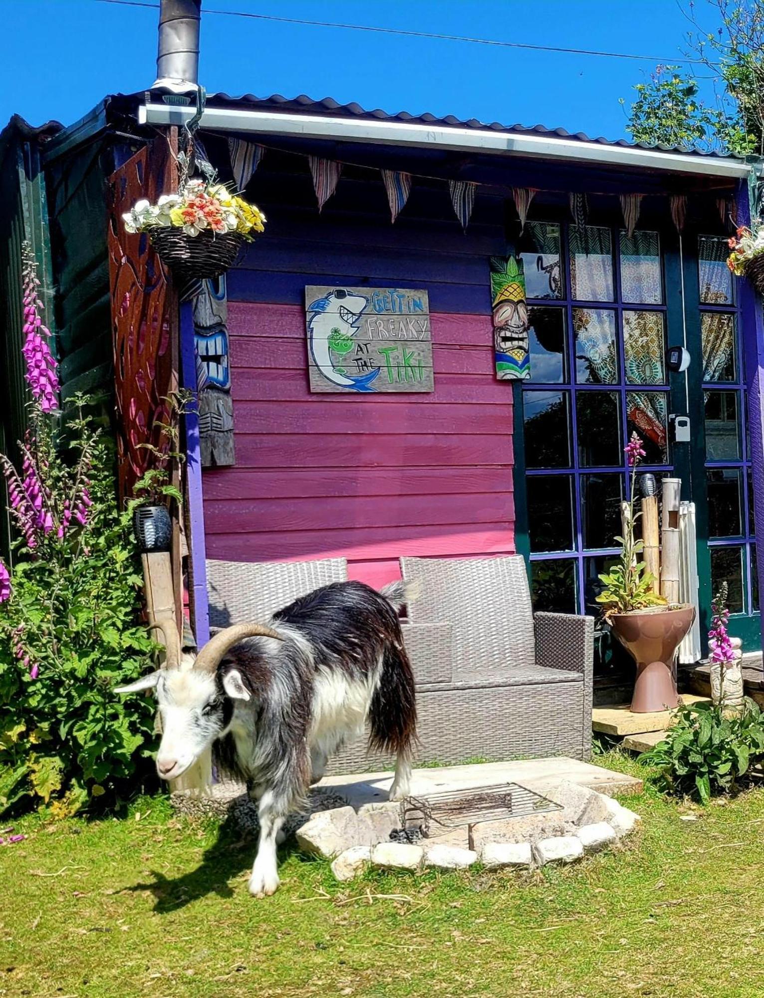 Treguth Glamping Unique Experience - Themed Huts Hotel Saint Day Bagian luar foto