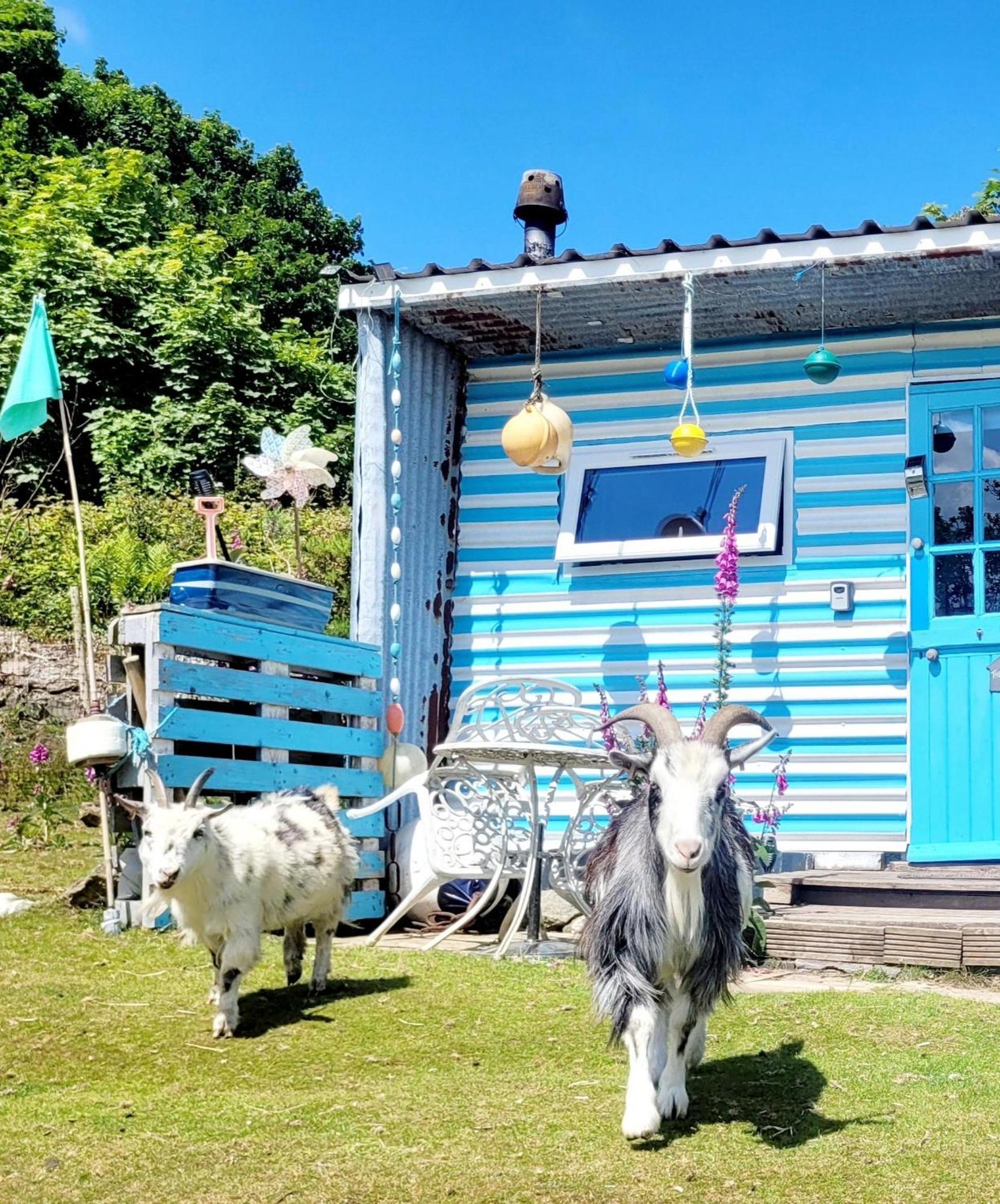 Treguth Glamping Unique Experience - Themed Huts Hotel Saint Day Bagian luar foto
