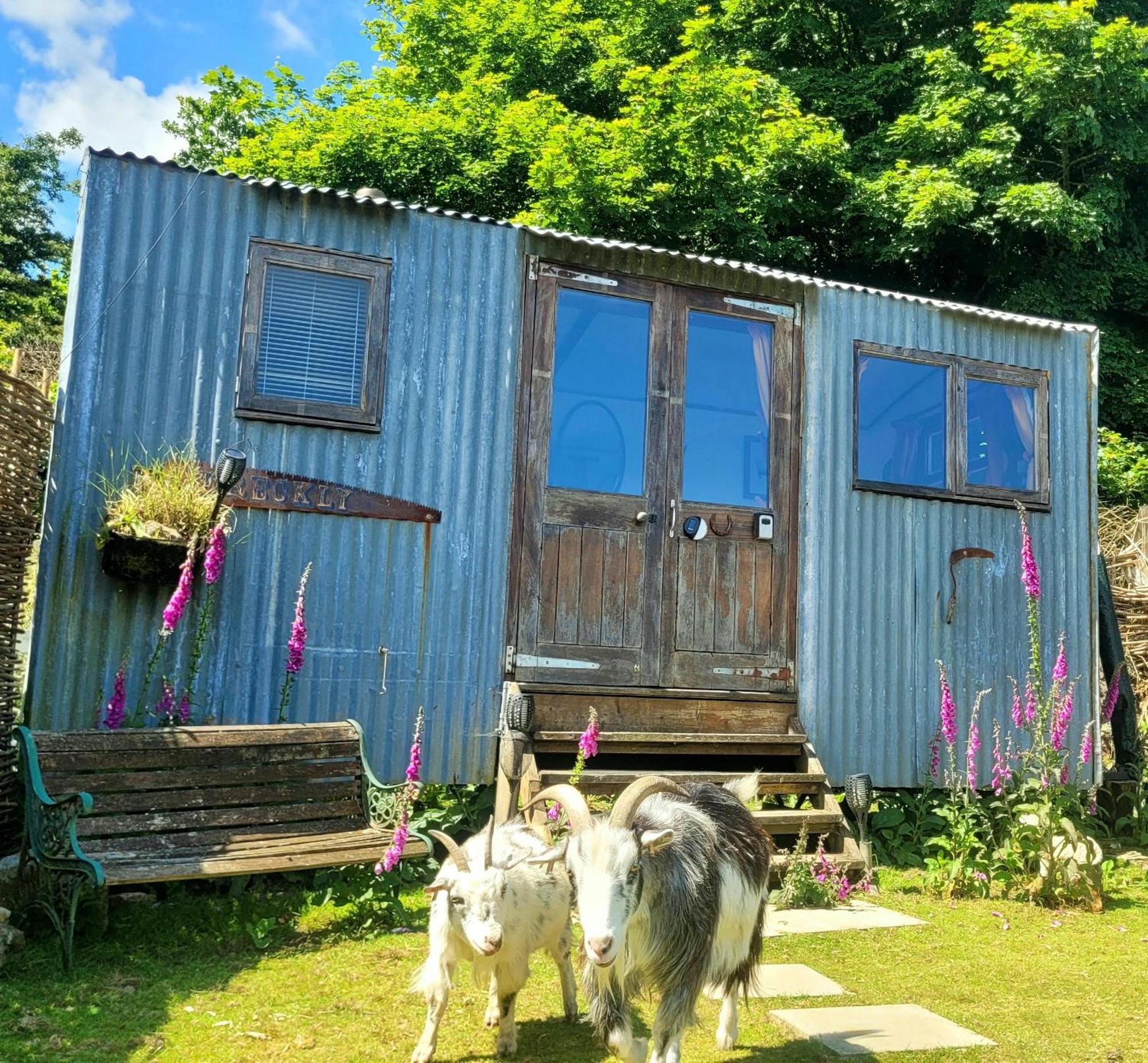 Treguth Glamping Unique Experience - Themed Huts Hotel Saint Day Bagian luar foto