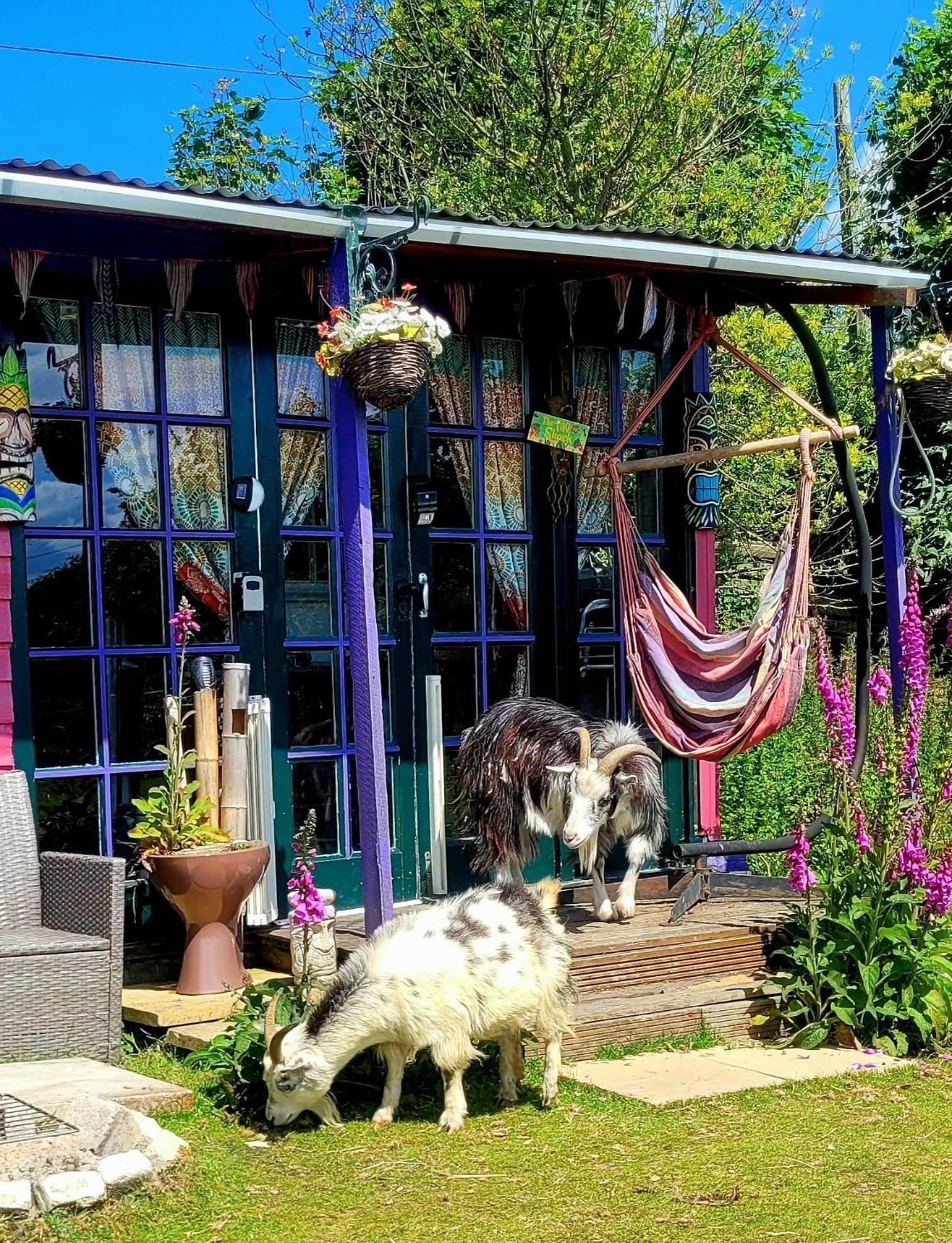 Treguth Glamping Unique Experience - Themed Huts Hotel Saint Day Bagian luar foto