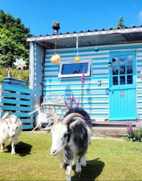 Treguth Glamping Unique Experience - Themed Huts Hotel Saint Day Bagian luar foto